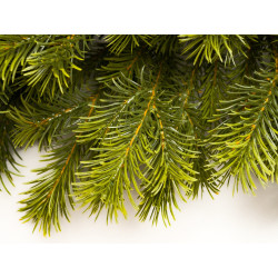 Umělý vánoční stromek - Jedle Kalifornská 180 cm PE